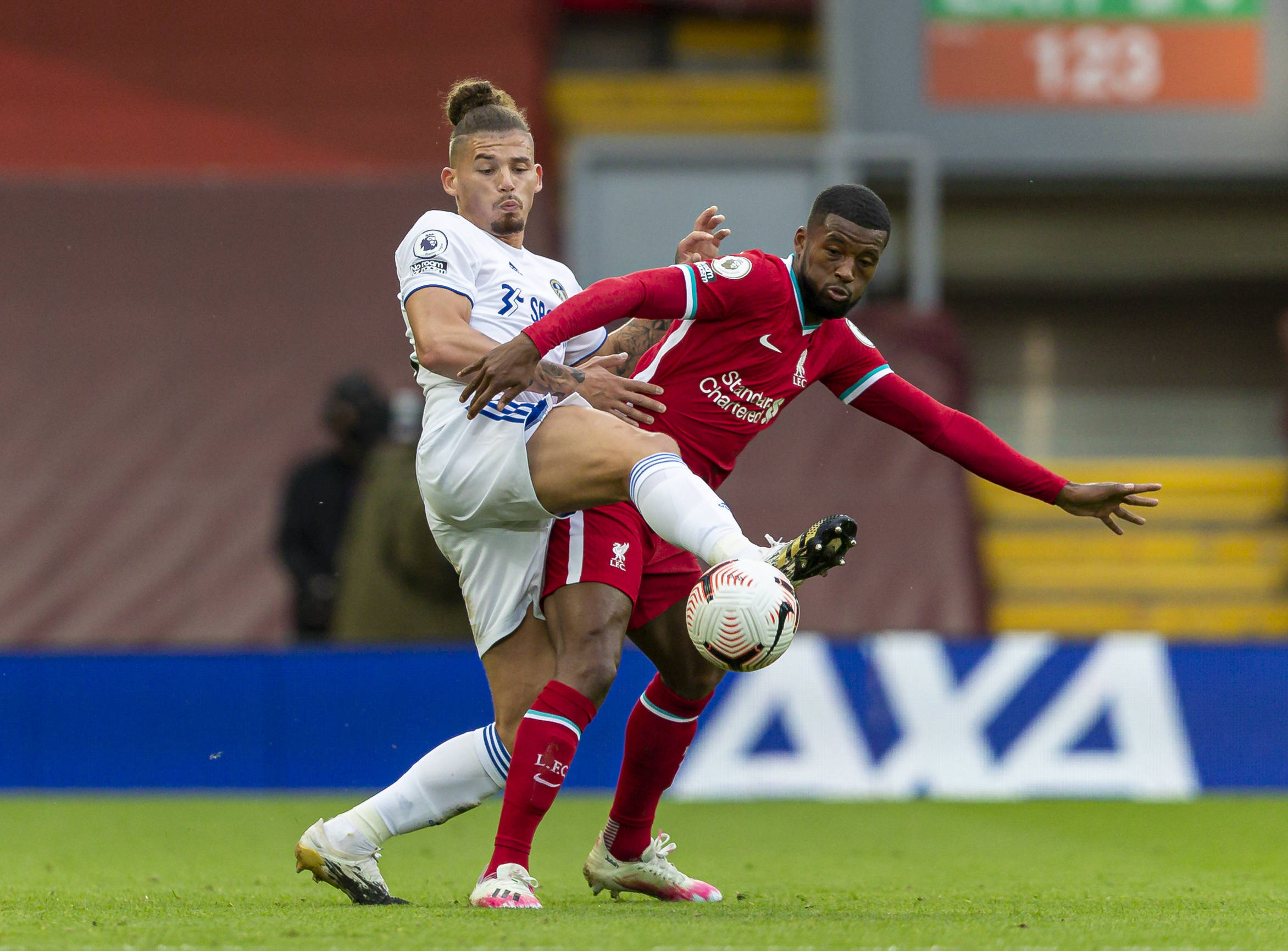 近期的引援 近期的引援